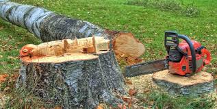 Best Tree Cabling and Bracing  in Soap Lake, WA